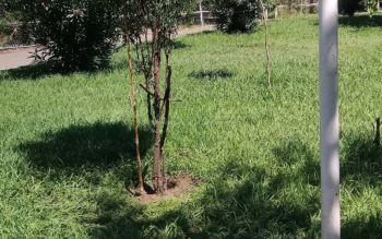 کشف جسد یک نوزاد داخل کیسه پلاستیکی در پارک سیمرغ رشت