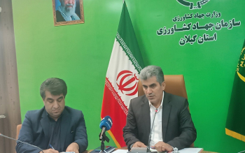 پیش بینی تولید یک میلیون و ۱۵۰ هزار تن شلتوک در گیلان/۳.۶ میلیون تن محصول کشاورزی در گیلان تولید می شود