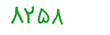 security code