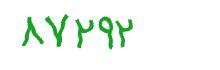 security code