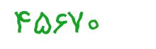 security code