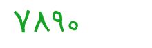 security code