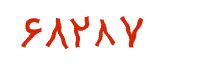 security code