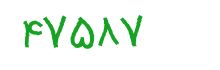 security code