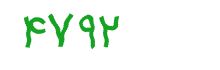 security code