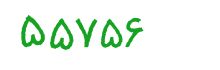 security code