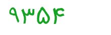 security code