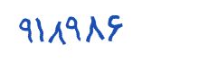 security code