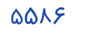 security code