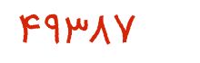 security code
