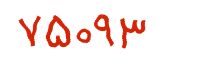 security code