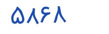 security code