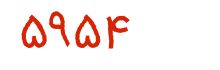 security code