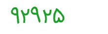 security code