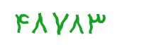 security code