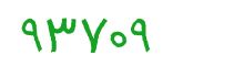 security code