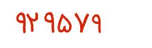 security code