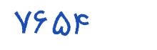 security code