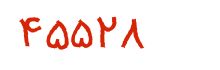 security code