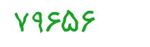 security code