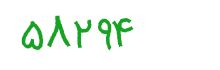 security code