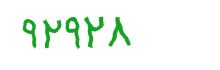 security code
