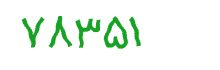 security code