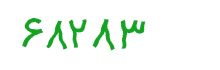 security code