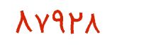 security code