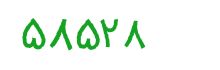 security code