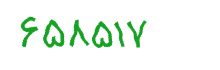 security code