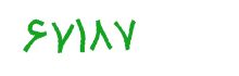 security code