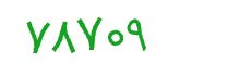 security code