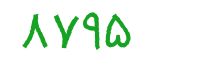 security code