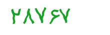 security code