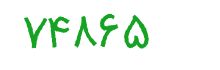 security code