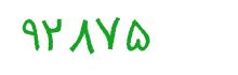 security code