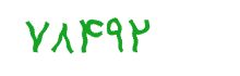 security code
