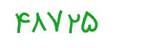 security code