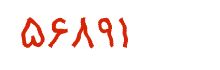 security code