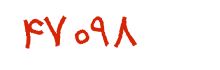 security code