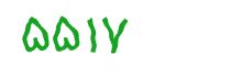 security code