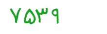 security code