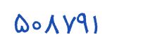 security code