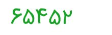 security code