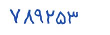 security code