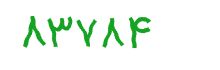 security code