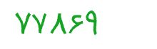 security code