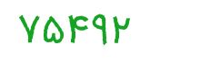 security code