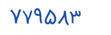 security code